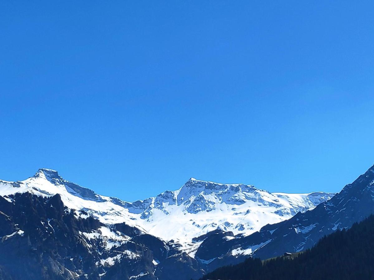 Apartment Chuenislodge2- Zwei Balkone, Gemuetlicher Kamin, Aussicht Adelboden